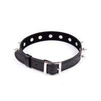 collar-with-spikes-adjustable-43-cm-black-843658379415-cl843658379415.jpg