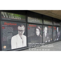 one-way-vision-store-privacy-multiple-windows.webp