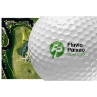 Flavio-Paixao-Open-master-logo-identyfikacja.webp